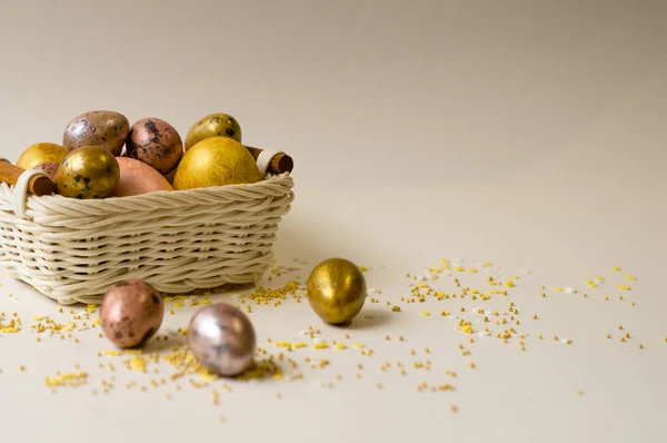 Paskalya tatili. Güzel, incilerin anası küçük bir sepetin içinde üniformalı bir arka planda yatıyor..
