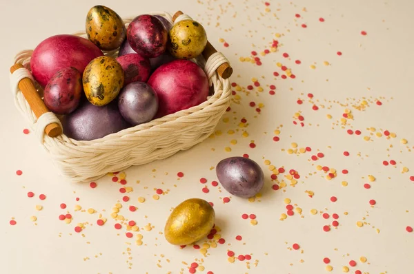 Paskalya tatili. Güzel, incilerin anası küçük bir sepetin içinde üniformalı bir arka planda yatıyor..