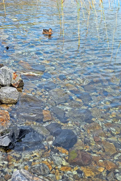 Křišťálově čisté vody — Stock fotografie