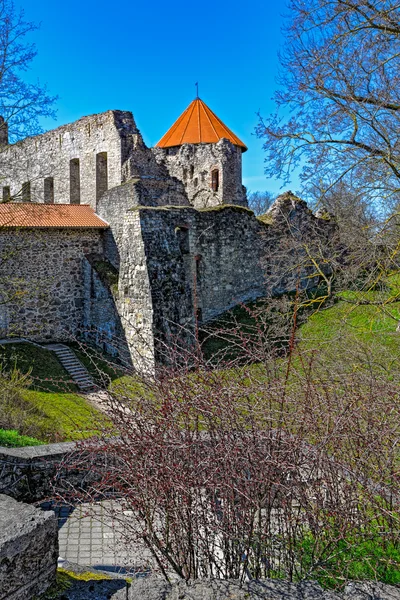 钗城堡公园，钗，拉脱维亚在春天 — 图库照片