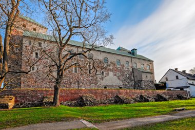 Finlandiya Turku castle