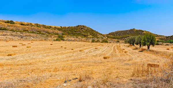 Pacas redondas de heno en los campos de montaña. Chipre — Foto de Stock