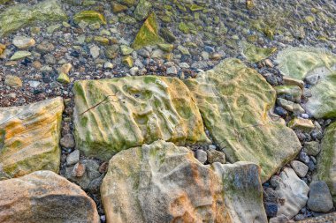 Kayalık plaj arka plan