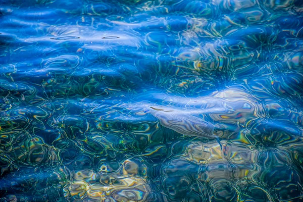 Sfondo chiaro acqua di mare — Foto Stock