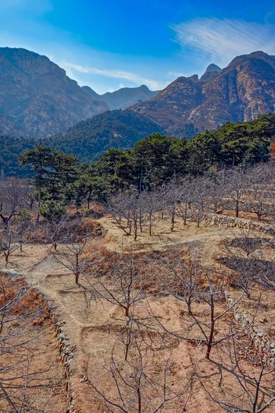 Montagne invernali di Yanshan — Foto Stock