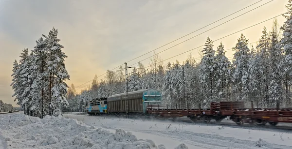 Freight train in winter landscape — Stockfoto