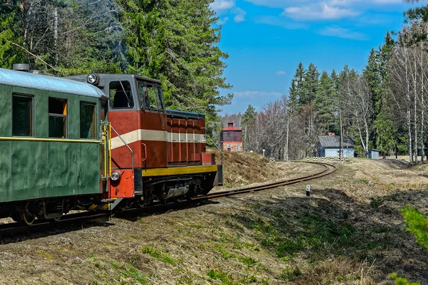 Pociąg pasażerski na stary kolej wąskotorowa. — Zdjęcie stockowe