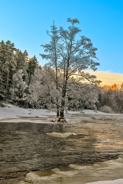 Zimní krajina — Stock fotografie