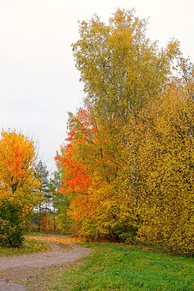 Cores do Outono — Fotografia de Stock
