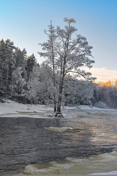 Zimní krajina — Stock fotografie