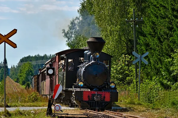 Schmalspurdampfzug. — Stockfoto