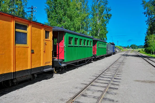 Train à vapeur à voie étroite . — Photo