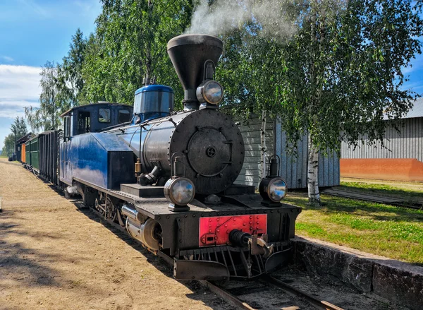 Narrow gauge steam locomotive. — Stock Photo, Image