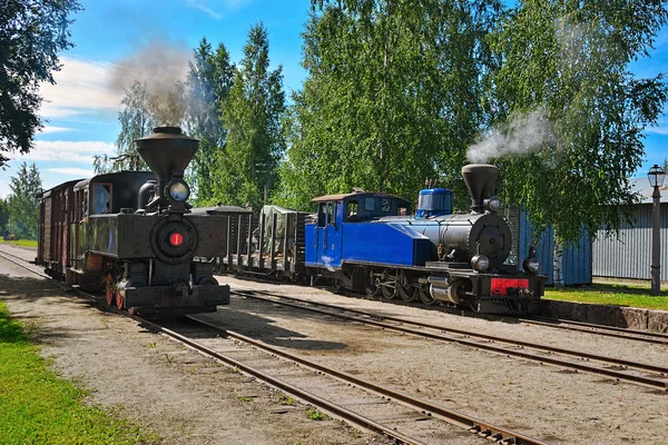 Narrow gauge steam trains. — Stock Photo, Image