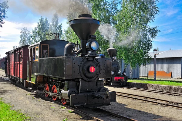 Schmalspurdampfzug. — Stockfoto