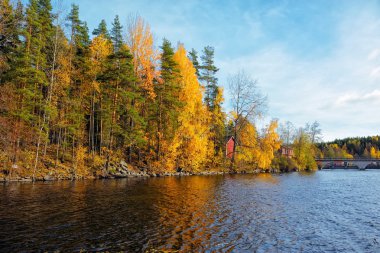 Sonbaharın Renkleri