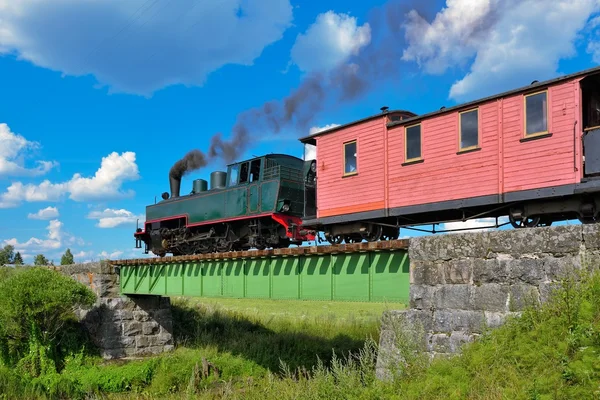 Train à vapeur à voie étroite . — Photo