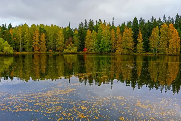 Colors of autumn — Stock Photo, Image