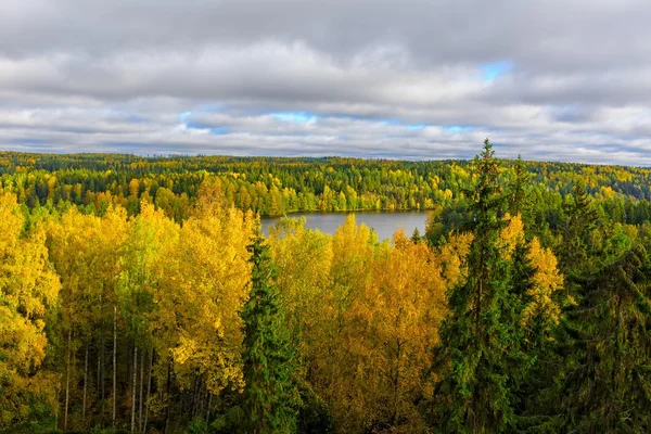 Herfstkleuren — Stockfoto