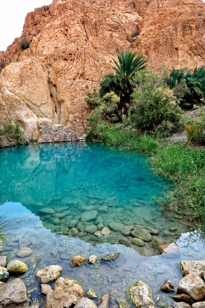 Oasi di montagna Chebika — Foto Stock