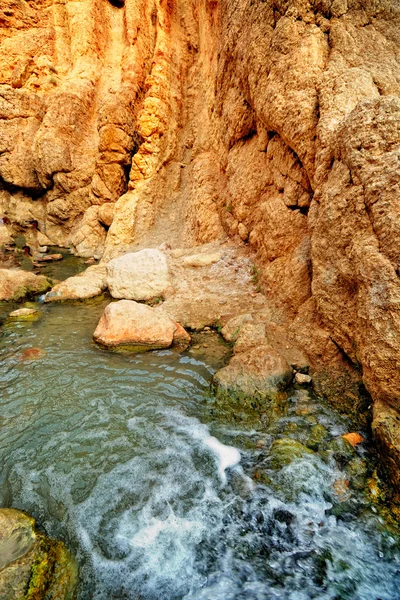 Oasis de montagne Chebika — Photo