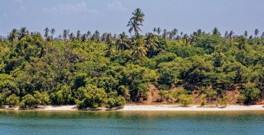 dar es salaam'ın kıyılarında