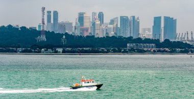 Bitki adı işaretçileri olan kamu bahçe