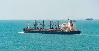Toplu taşıyıcı kargo gemisi