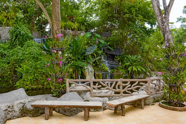 Jardín tropical, estanque y plantas — Foto de Stock