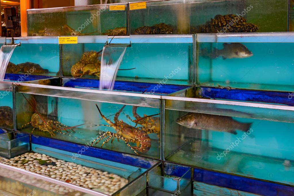 Seafood restaurant fish tank — Stock Photo © Igor-SPb #88464488