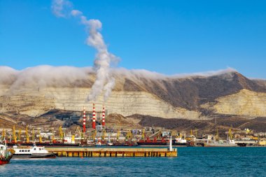 Tsemes kıyıya Novorossiysk içinde defne