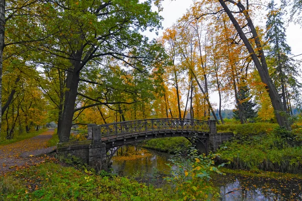 Malowniczy krajobraz jesień ze starego mostu nad kanałem — Zdjęcie stockowe