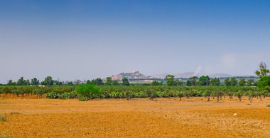 Tunus kırsal manzara