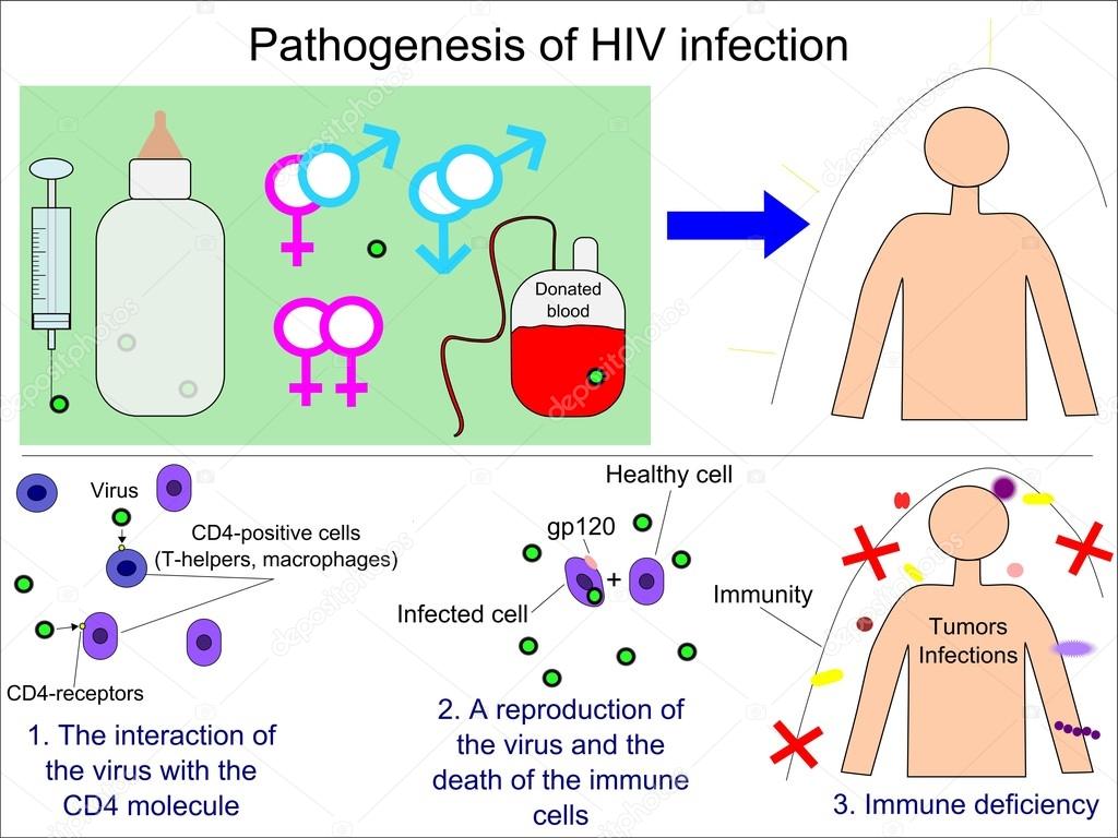 hiv virus structure animation