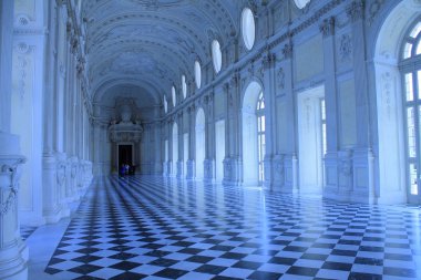 Venaria Reale