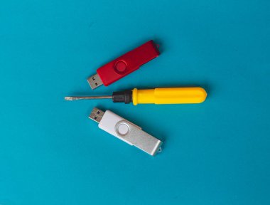 Taşınabilir harici veri depolama için bilgisayar donanımı. Çok çekici renklere sahip flaş disk. İş, iş, eğitim için uygun.