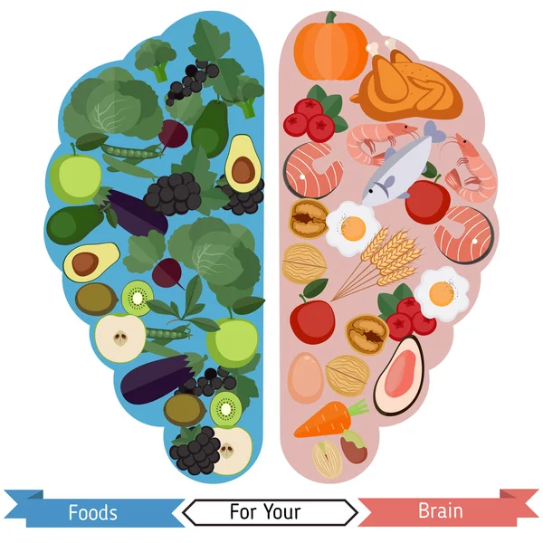 Brain Foods concept — Διανυσματικό Αρχείο