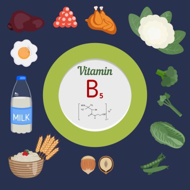 Pantotenik asit ya da Vitamin B5 Infographic