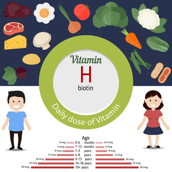Инфографика витамина H — стоковый вектор