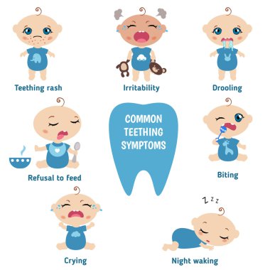 Baby teething symptoms clipart