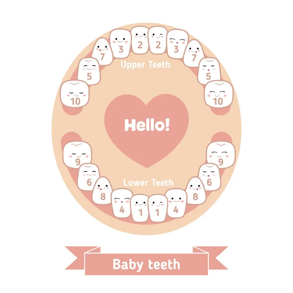 Carta de dentición de bebé — Vector de stock