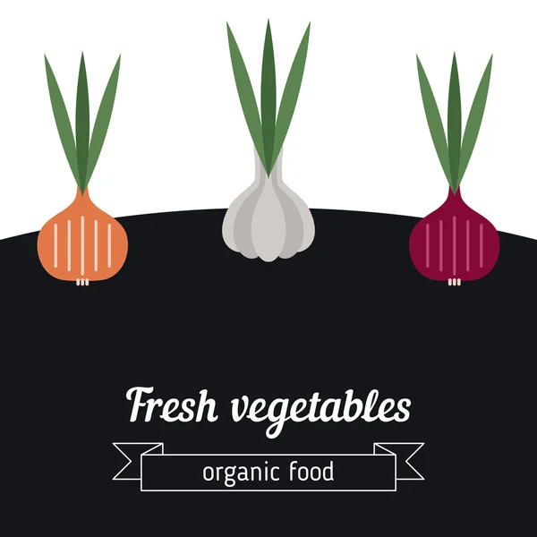 Onion and garlic vegetables illustration. — Stock Vector
