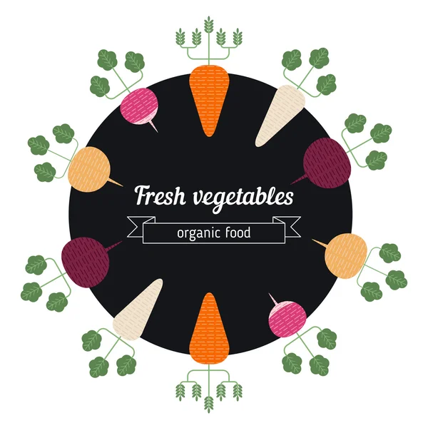 Turnips, daikon, radish, carrot vegetables illustration. — Stock Vector