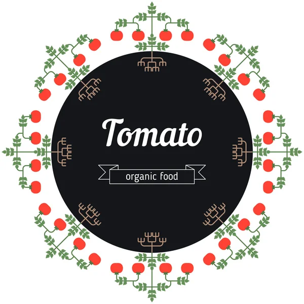Tomato vegetables illustration. — Stock Vector