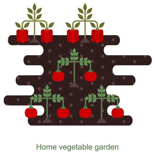 Овощи фон сада — стоковый вектор