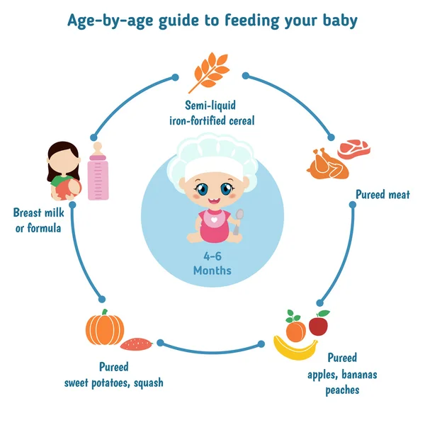 Feeding baby infographics — Stock Vector