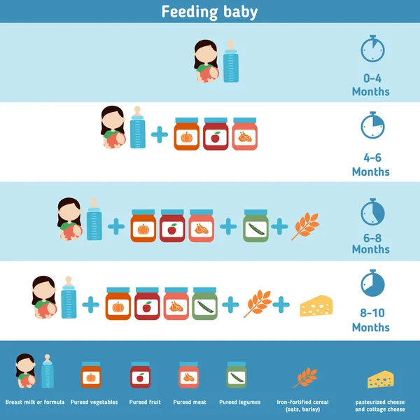 Bebek infographics besleme