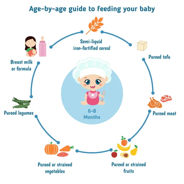 Voeding baby infographics — Stockvector