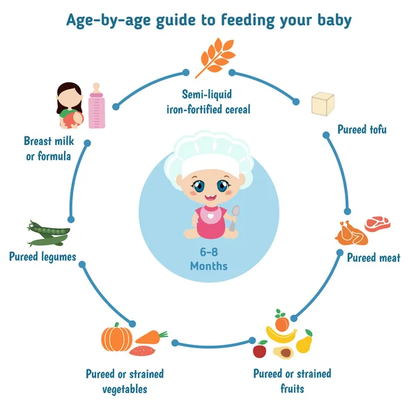 Karmienie dziecka Infografika — Wektor stockowy