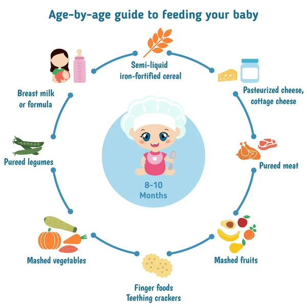 Alimentation infographie bébé — Image vectorielle